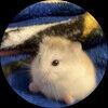hamstergirl4eve